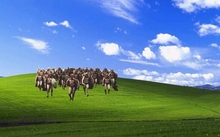 300 movie spartan sparta bliss windows xp microsoft windows skyscapes 1024x768 wallpaper 